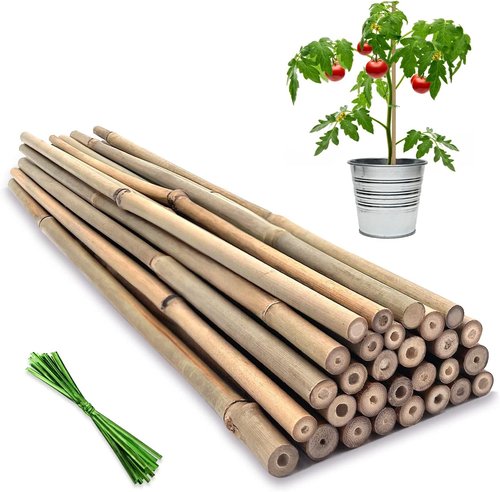 BOVITRO 16-Inch Natural Bamboo Plant Stakes - 20 Pcs Support for Tomatoes, Beans & Potted Plants