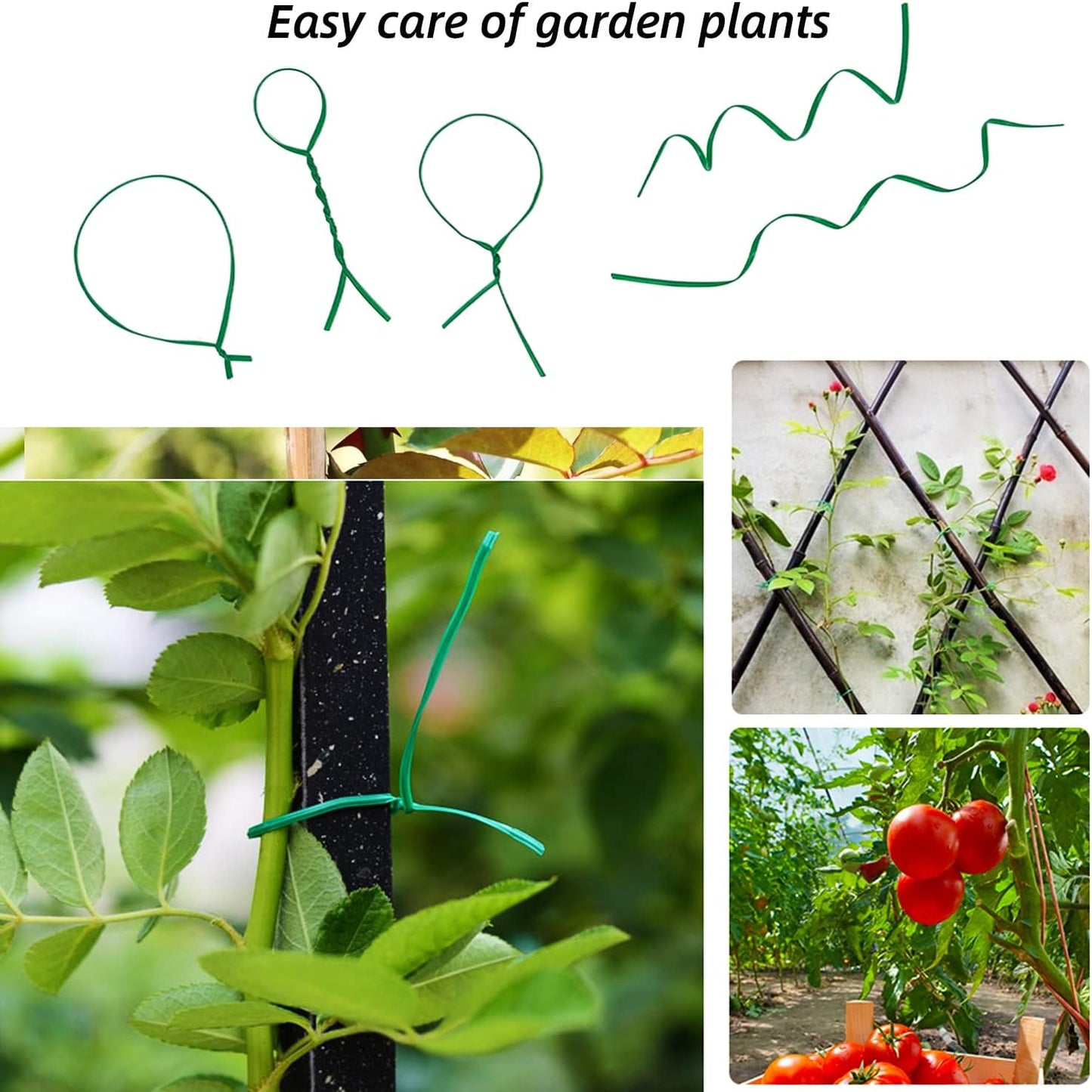 Plant Twist Ties - 8'' Reusable Garden Ties for Climbing Plants | Pack of 100, Green