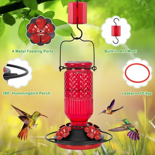 FEED GARDEN Glass Hummingbird Feeder - 16oz Leak-Proof Design with Ant Moat & Bee Guards
