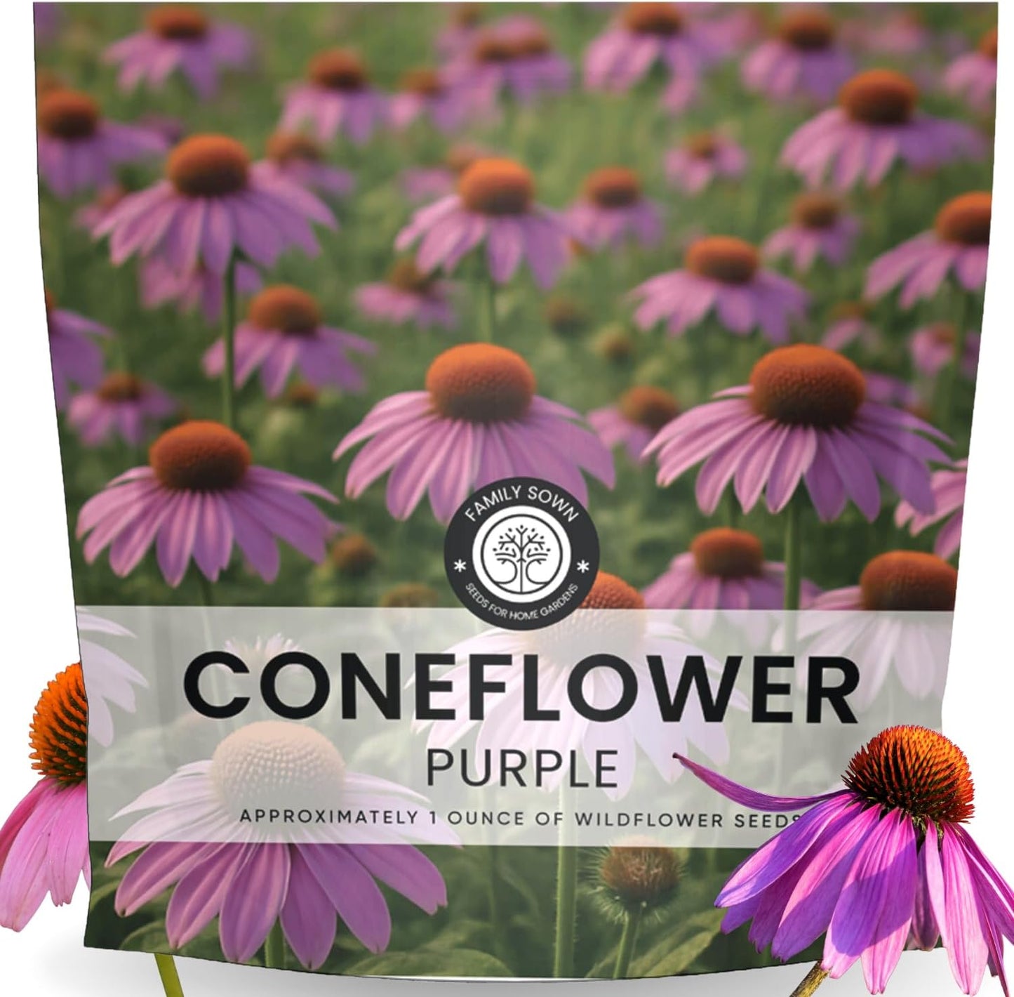 Purple Coneflower Seeds - 7,000 Premium Seeds for Planting - 1 Ounce Pouch for 2026 Season