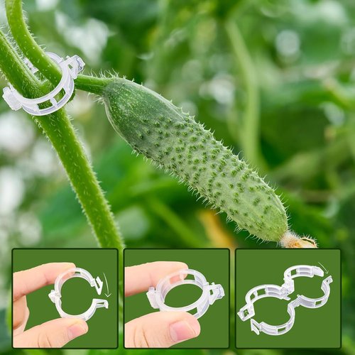 Anyumocz Plant Support Clips - 400 Pcs Snap-On Trellis Clips for Climbing Plants | 1" Inner Diameter, White