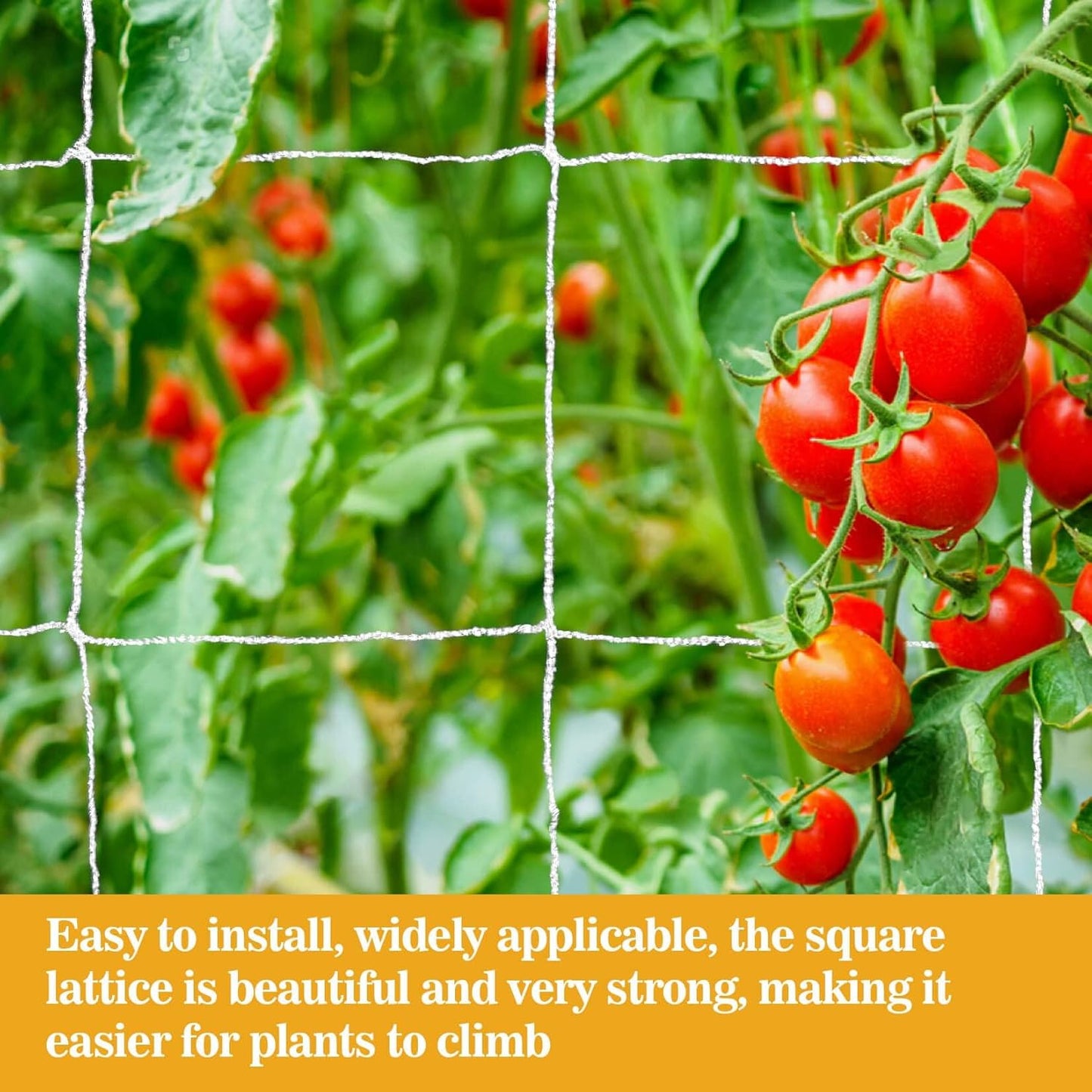 Sukh Garden Plant Trellis Netting - 5 x 15 Ft Polyester Mesh for Climbing Plants & Vegetables