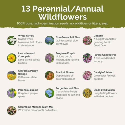 Eden Brothers Wildflower Mixed Seeds - Deer Resistant, Attracts Pollinators | 1/4 lb, 120,000+ Seeds