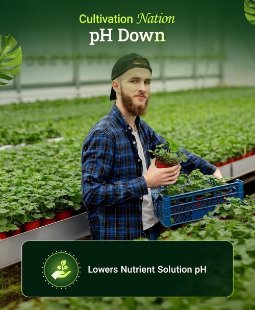 FoxFarm pH Down for Plants - Citric Acid Formula for Nutrient Solutions - Lowers pH Levels - 1 Pint