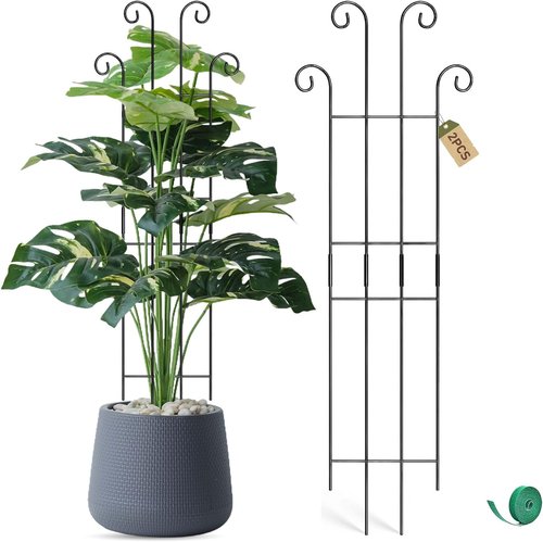 Coomin Monstera Plant Support Stakes - 32.6in Metal Trellis for Climbing Plants | 2-Pack for Garden & Potted Use