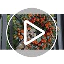Autumn Leaf Wreaths - 24 Inch Fall Door Wreath with Berries & Bow - Harvest Decor