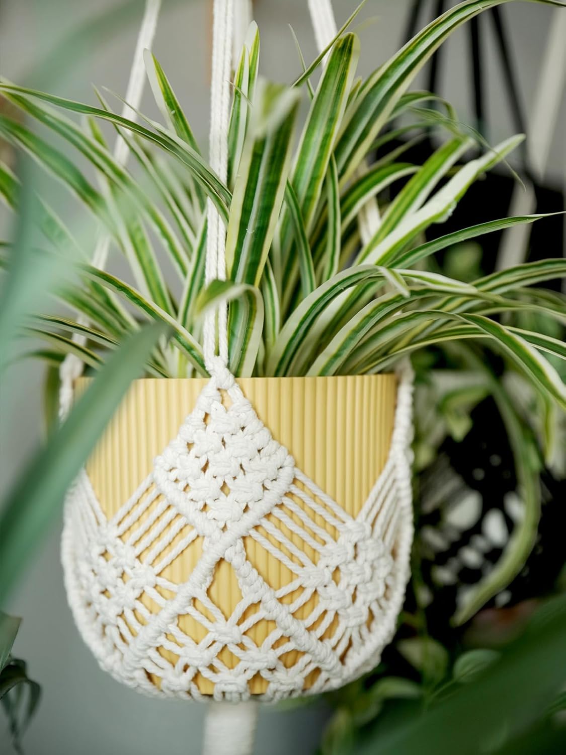 Skiennix Macrame Plant Hangers - Stylish Hanging Planters for 8-Inch Pots | 2-Pack, White