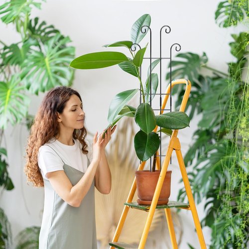 Coomin Monstera Plant Support Stakes - 32.6in Metal Trellis for Climbing Plants | 2-Pack for Garden & Potted Use