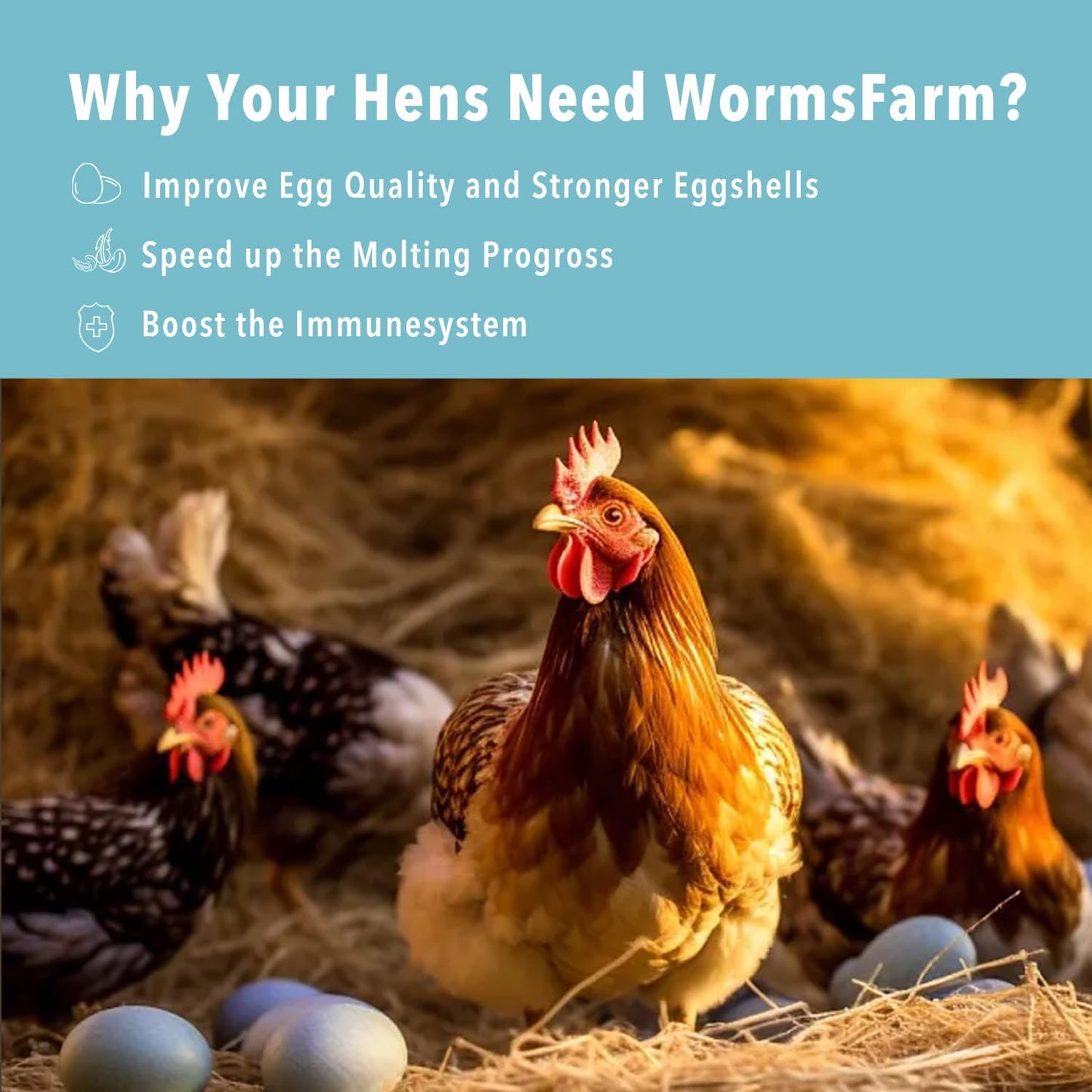 WormsFarm Dried Black Soldier Fly Larvae Treat - High Calcium for Chickens & Wild Birds | 5LB