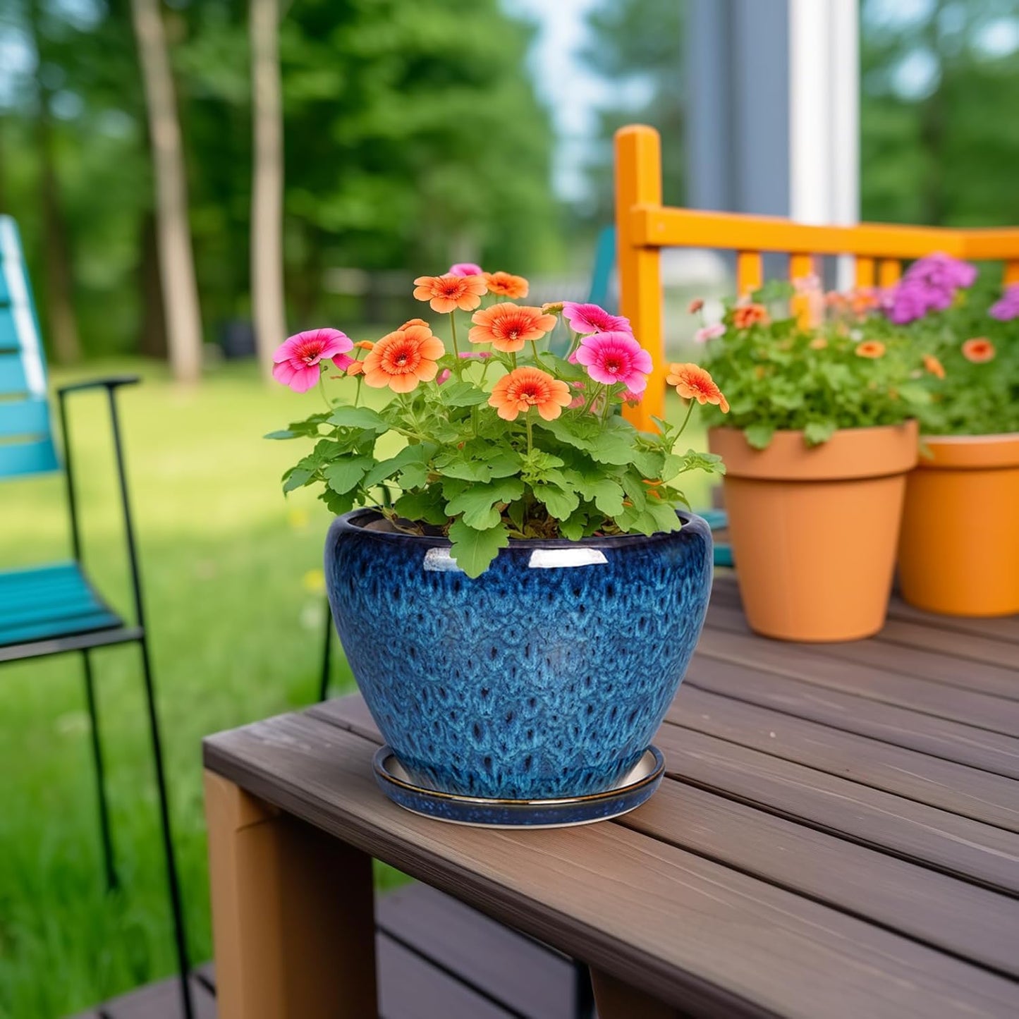 Skiennix Ceramic Succulent Planter Pot - 6 Inch Round with Drainage Hole & Saucer for Indoor/Outdoor Use