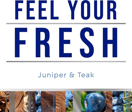 Glade Automatic Spray Refill - Juniper & Teak Air Freshener for Home & Bathroom | 6.2 Oz