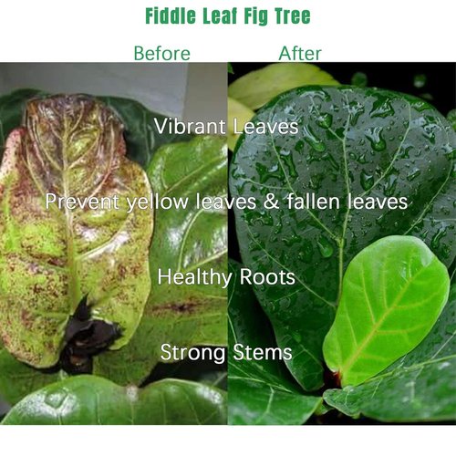 FOLLOWIN Fiddle Leaf Fig Fertilizer - Urea-Free Plant Food with 7 Chelated Micronutrients, 21 fl oz