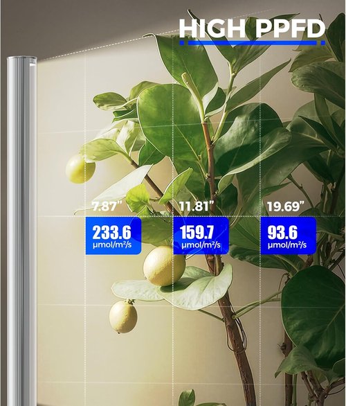 Barrina T1S Grow Light - 65W Full Spectrum Indoor Plant Light with Timer & Adjustable Height (5FT-5.6FT)