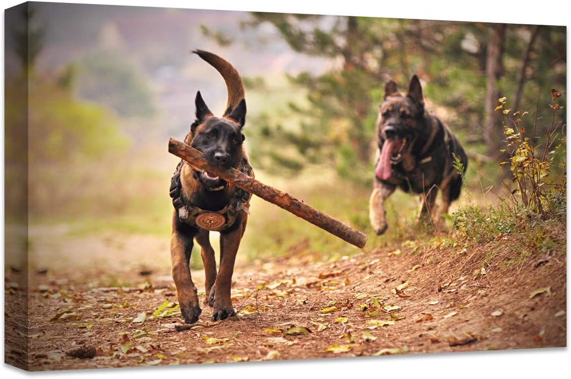 Skiennix Personalized Canvas Print - Custom Wall Art for Bedroom & Living Room | 12" W x 8" H