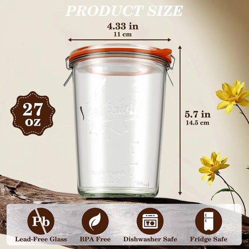 Freshmage Canning Jars 27 oz 2 Pack, Sourdough Starter Jars with 2 Lids Per Jar (Glass Sealing Lid & Plastic Lid), 800ML Wide Mouth Airtight Glass Storage Containers for Pickles, Yogurt, Pasta, Cereal