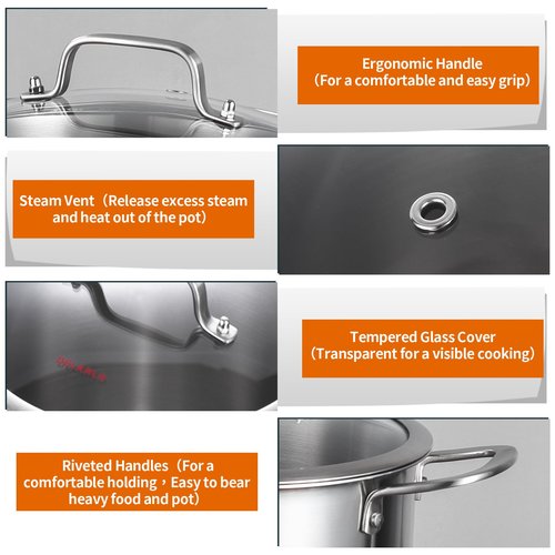 DELARLO Tri-Ply Stainless Steel 8 Quart Stock Pot, Heavy-Duty, All Stove Compatible, Up to 600℉ Soup Pot with Lid, 18/10 Induction Big Stockpot with Lids, Large Stainless Steel Induction for Cooking