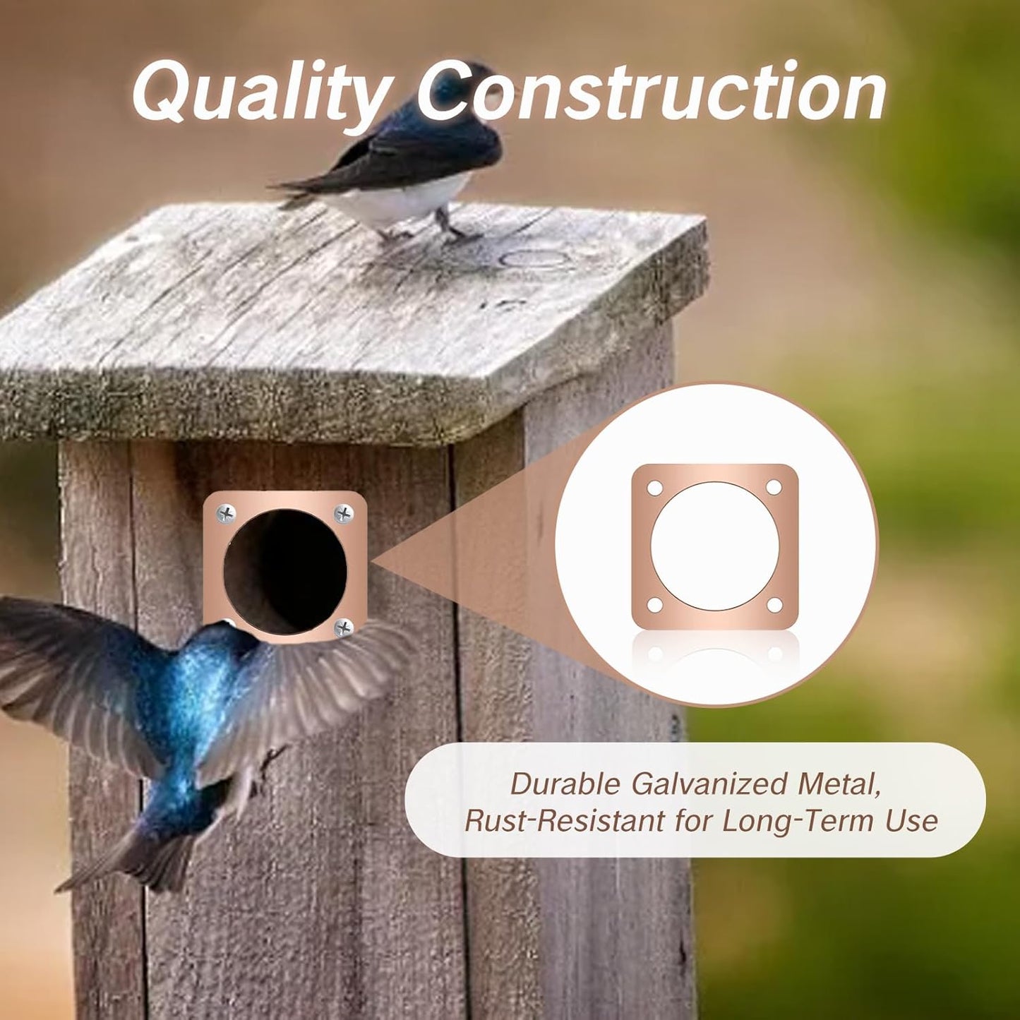 Skiennix Birdhouse Predator Guard - Copper Portal Metal Protector for Eastern Bluebirds | 1.5-Inch Hole