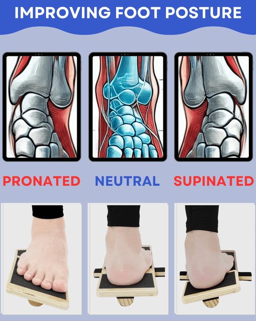 Caredgitz Ankle Strengthener, Single Leg Balance Board for Ankle Rehab, Foot Trainer for Mobility, Foot Stretcher for Sprained Ankle, Balancing Wobble Board, Posture Board, Arch Trainer with Brace
