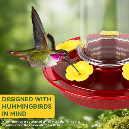 Hummingbird Feeder - 8.3oz Outdoor Hanging Design with 5 Bee Guard Ports & Ant Moat | Perfect Garden Gift Set (2 Pack)