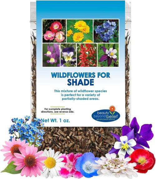 BBB Seed Wildflower Seeds - Open-Pollinated Mix for Partial Shade | 1 oz Packet, Annual & Perennial