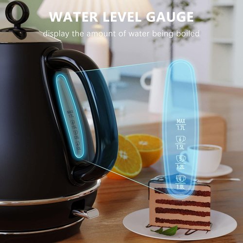 Evoloop Electric Kettle - 1.7L BPA-Free Stainless Steel Tea Kettle with Auto Shut-Off & Boil-Dry Protection | Black