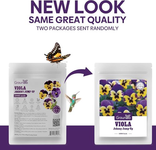 Groundio Johnny Jump Up Seeds - 10,000+ Non-GMO Perennial Wild Violet Seeds | Edible Flowers, Attracts Pollinators