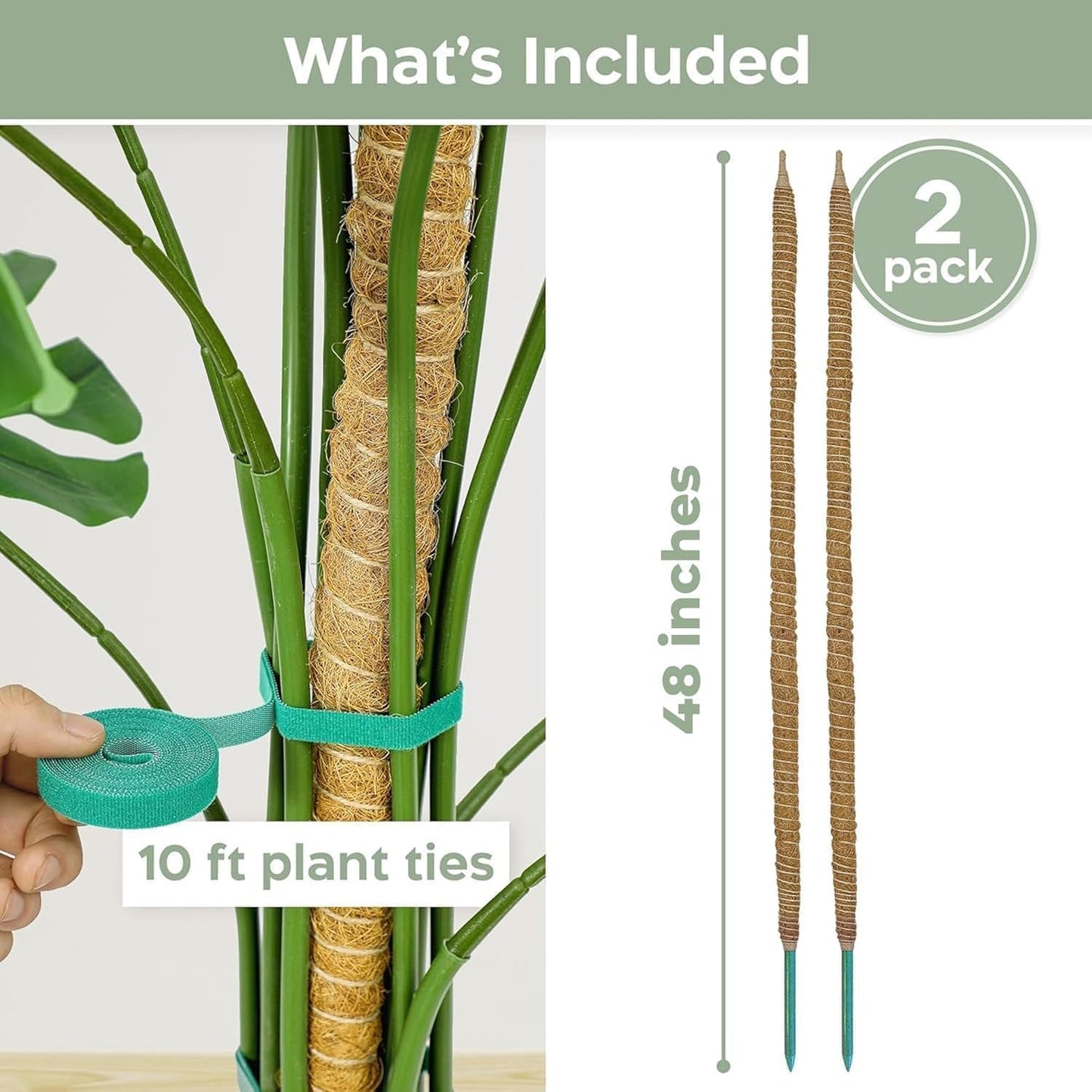 Monstera Plant Support - 2 Pack 48'' Bendable Moss Pole for Indoor Climbing Plants | Durable Trellis Stakes