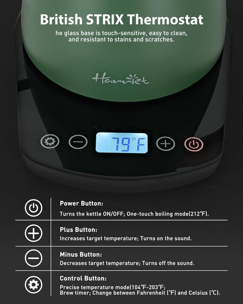 Harriet Gooseneck Electric Kettle - 1200W Fast Heat, 0.8L Stainless Steel, Precision Temp Control & Timer, Wood Handle, Pour Over Coffee and Tea, Green