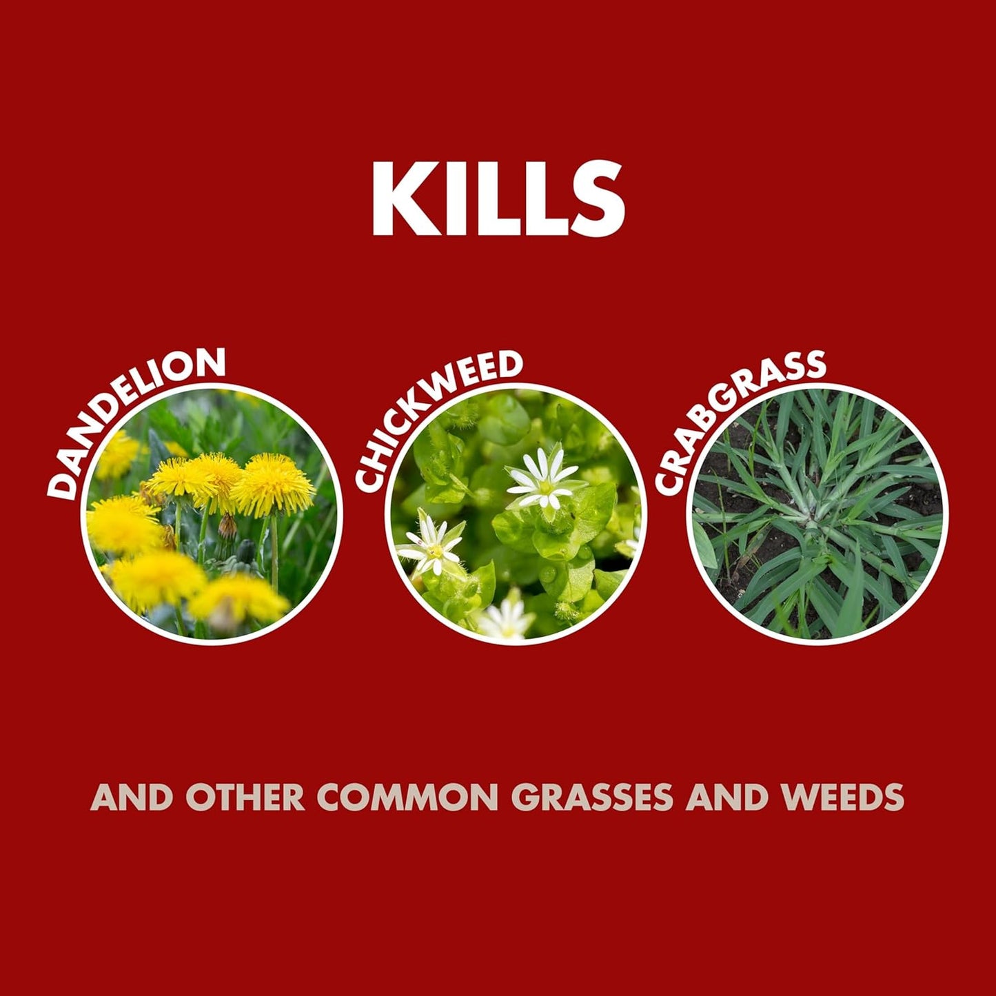 Spectracide Weed & Grass Killer - 1.33 Gallons with AccuShot Sprayer | Kills Weeds to the Root, Rainproof in 15 Minutes