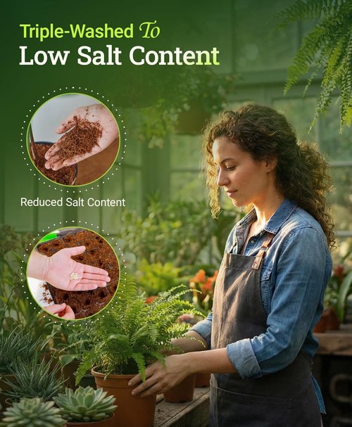 FoxFarm BushDoctor Coco Loco Soil Potting Mix - Triple-Washed, Water Retaining, Bat Guano & Earthworm Castings | 12 Quart (2 Pack)