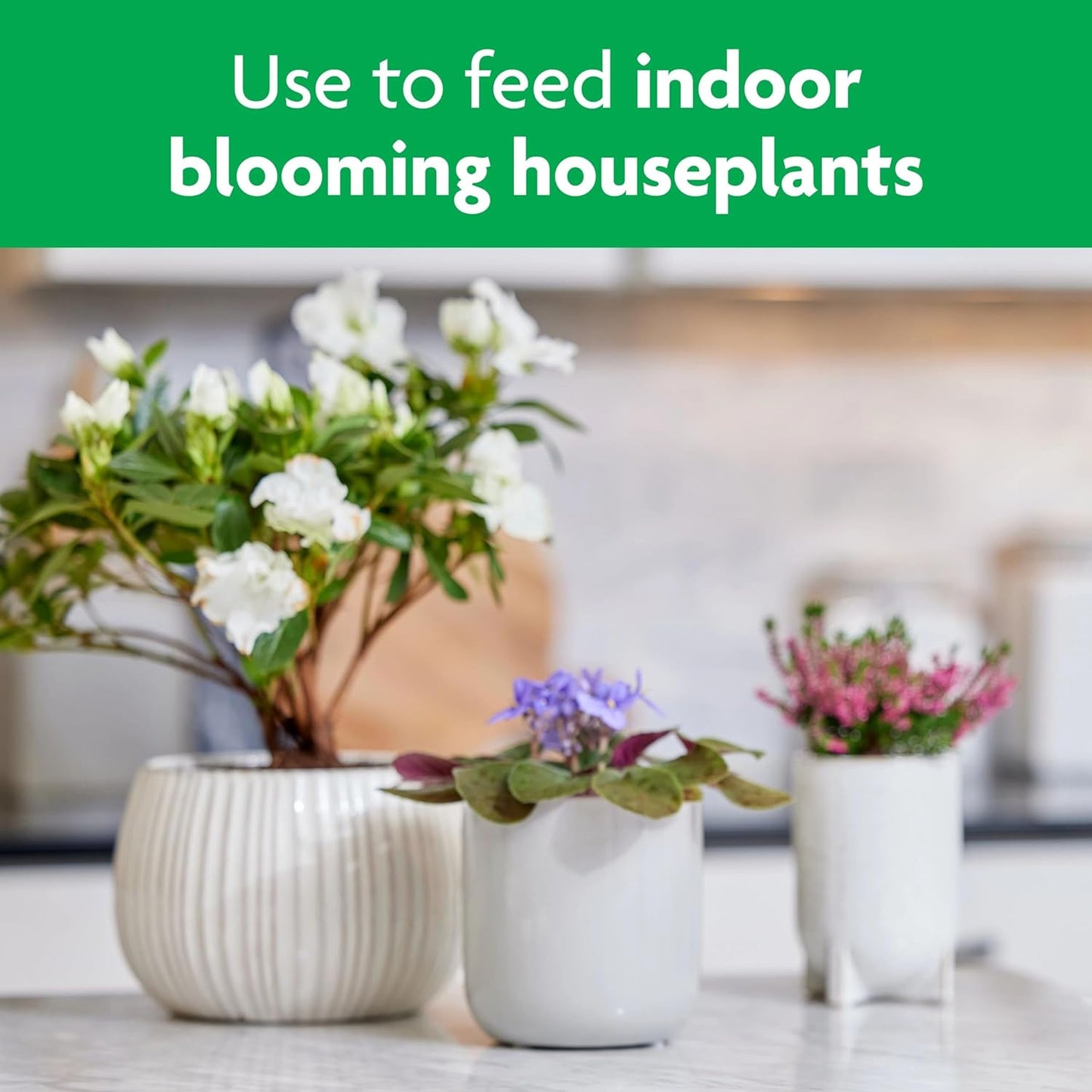 Miracle-Gro Blooming Houseplant Food - Premium Fertilizer for Indoor Plants, 8 Fl. Oz.