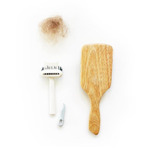 BlairCo Hair Brush & Comb Cleaner Tool - 2-in-1 Design for Easy Hair Removal & Disassembly | Ideal for Salon & Home Use