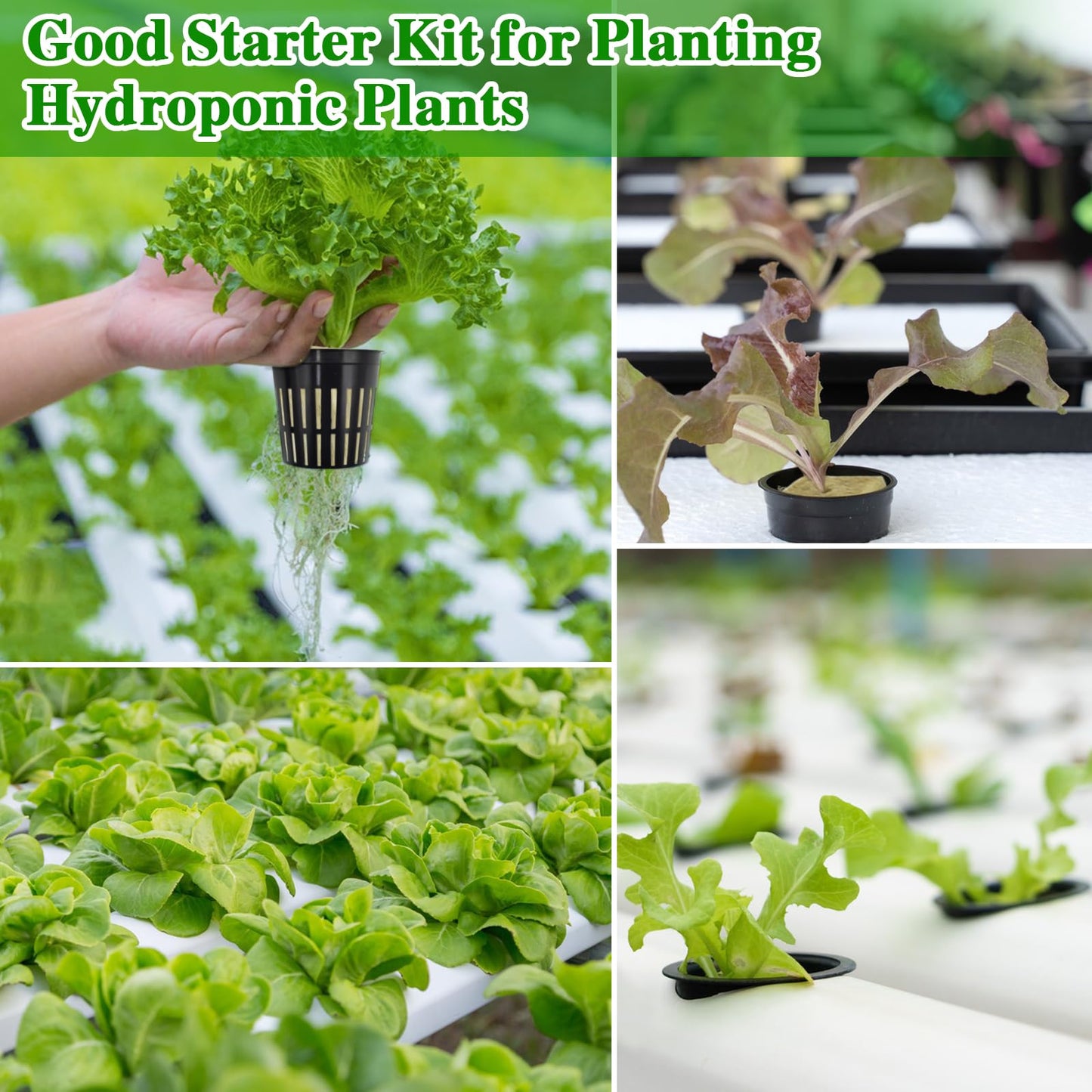 Halatool 36PCS 1.2-Inch Rockwool Cubes with 30PCS 2-Inch Net Cups for Hydroponics Great Hydroponic Kit for Cuttings Clone Plant Propagation Seed Starting & Soilless Cultivation