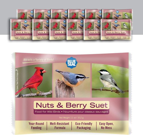 Blue Seal Suet Cakes for Wild Birds - No Mess Feed for Woodpeckers, Cardinals & More | 11oz (Pack of 12)