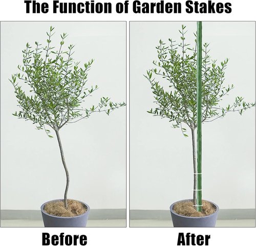 Feed Garden Garden Stakes - 36 Inch Metal Plant Support Sticks | Sturdy, Plastic Coated, 25 Pack