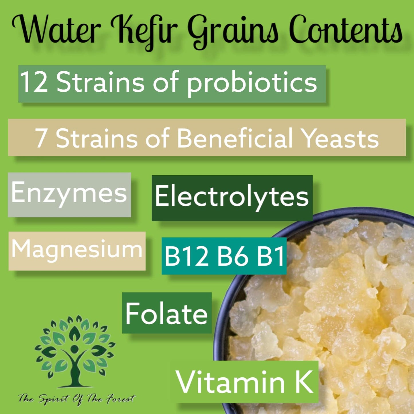 The Spirit Of The Forest Live DORMANT ENDLESS Fresh Water Kefir Grains DIY Fermented Probiotic Drink Enhances Gut Health Kefir Starter Makes Limitless Supply Non-GMO Dairy Free Vegan Sparkling Water