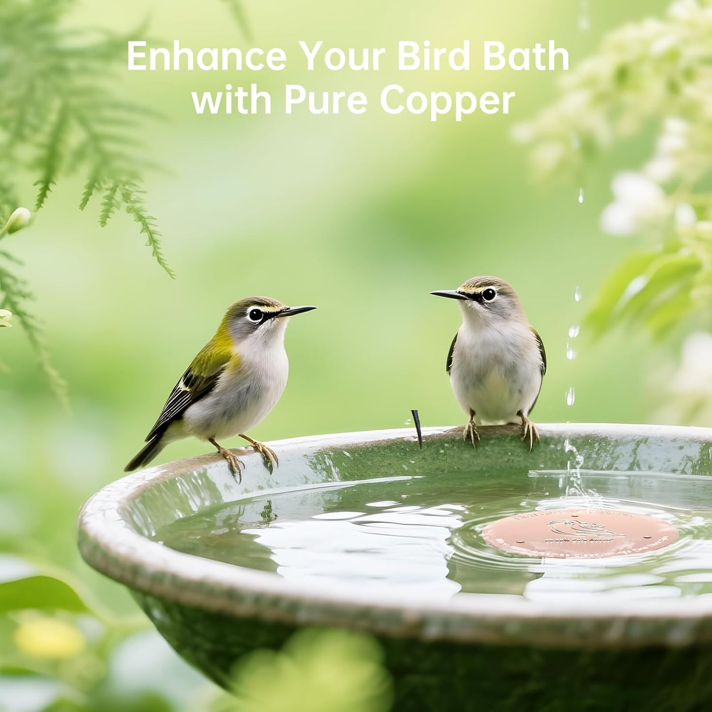 Skiennix Bird Bath Copper Disk - Premium 0.6mm Sturdy 99.99% Pure Copper for Year-Round Clean Water
