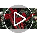 12Pcs Red Velvet Christmas Bows with Gold Thread, 5x10 in Holiday Decorations