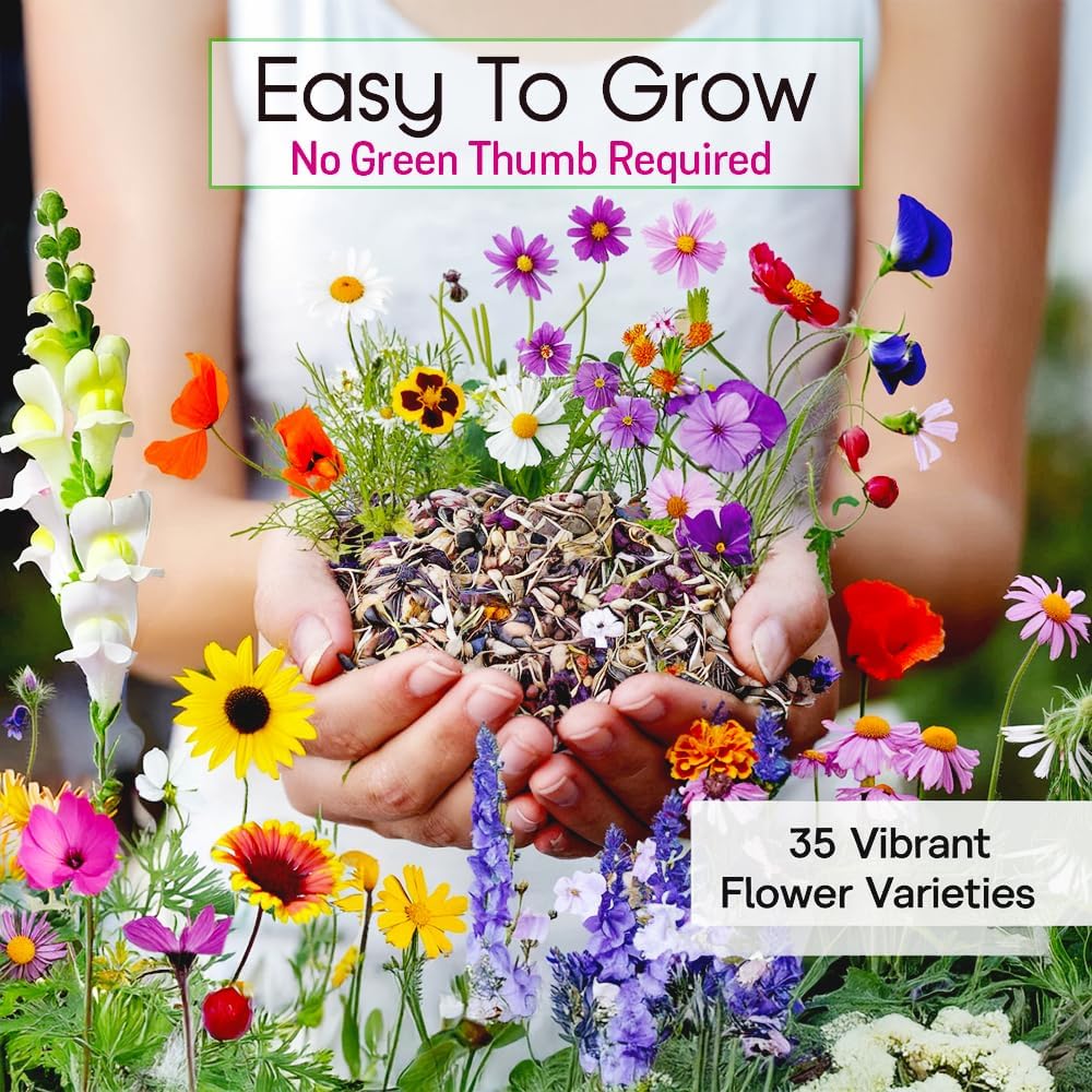 NatureZ Wildflower Seeds - 35 Varieties of Perennial & Annual Flowers | 1/2 lb Bulk Pack (340,000 Seeds)