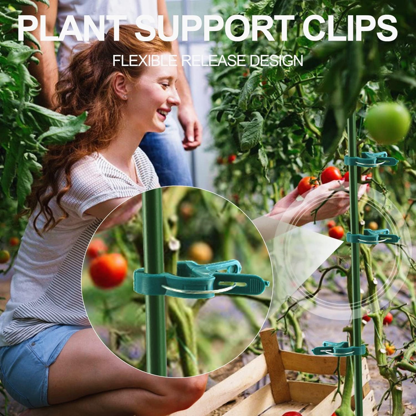 Yinghezu Plant Support Clips - 40 Pcs for Garden Tomatoes & Vines | 2 Sizes for Upright Growth
