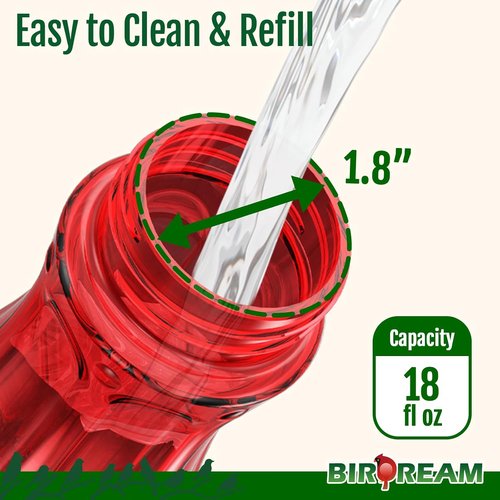 Birdream Hummingbird Feeder - 18oz Glass Design with 5 Feeding Ports & Ant Moat | Red Garden Decor
