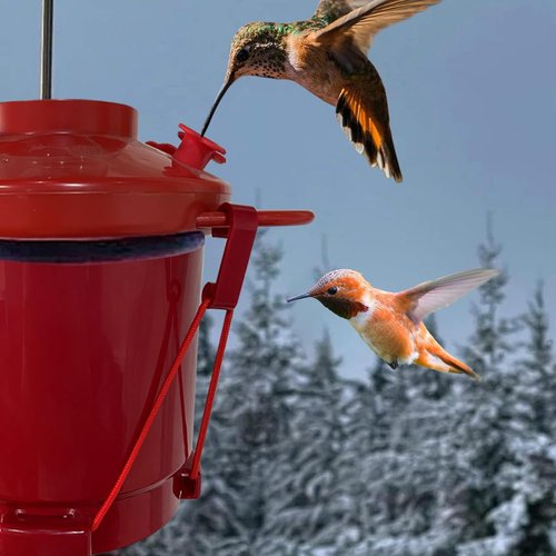 Hummingbird Feeder Heater - Outdoor Nectar Warmer for Freezing Weather | Attaches to Feeder Bottom (Red)