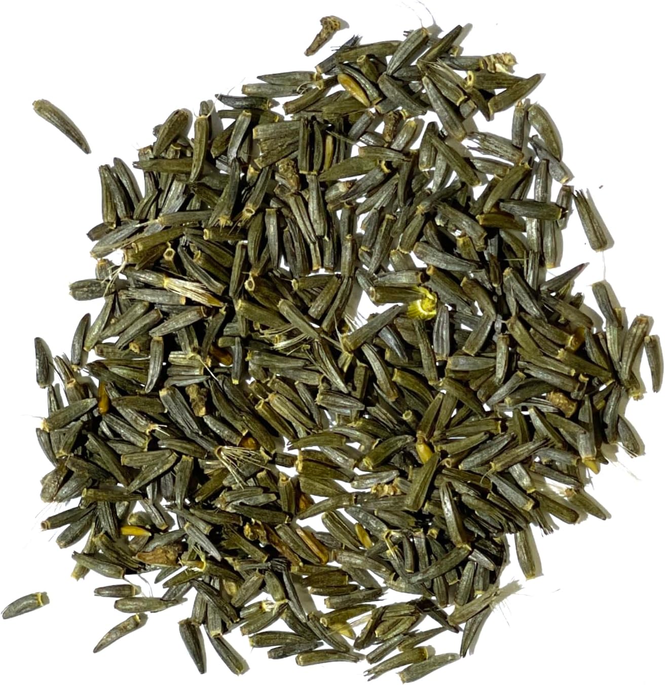 Seed Needs Gayfeather Seeds - 500 Heirloom Liatris Spicata Seeds for Pollinator-Friendly Gardens
