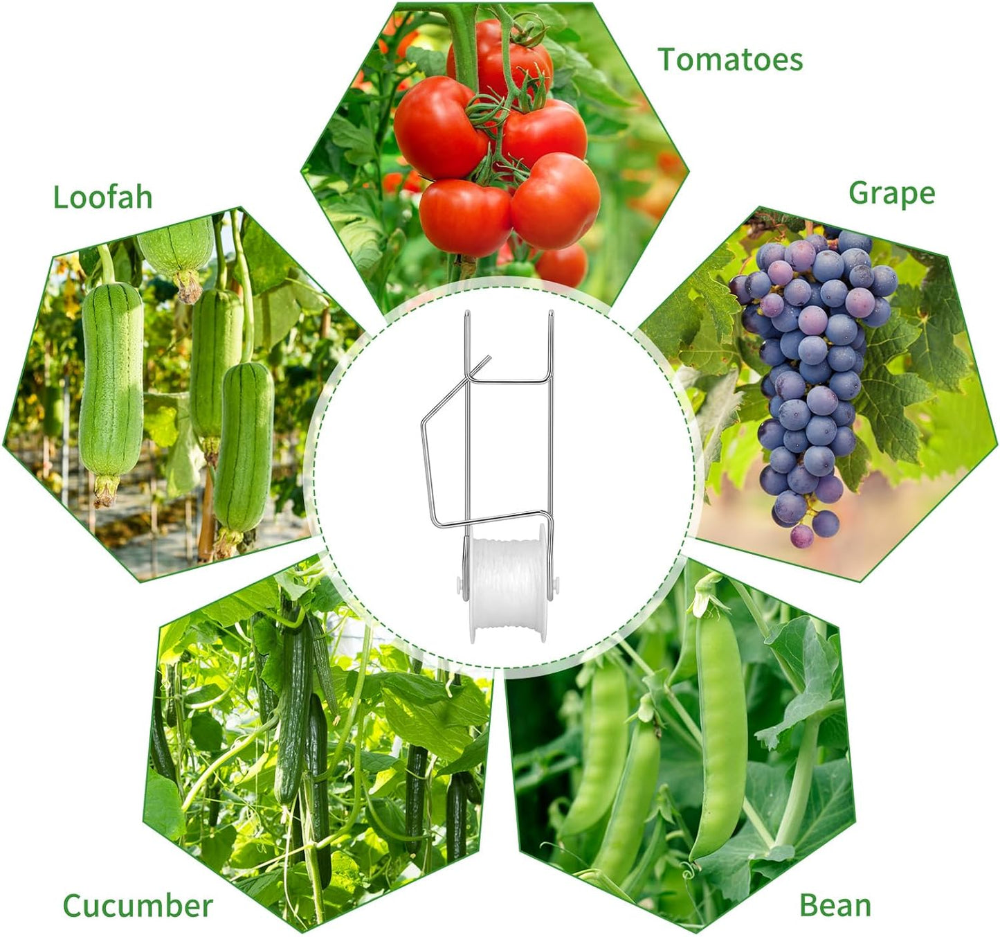 Skiennix Tomato Roller Hooks - 10 Pack with 49.2FT String for Greenhouse & Plant Support
