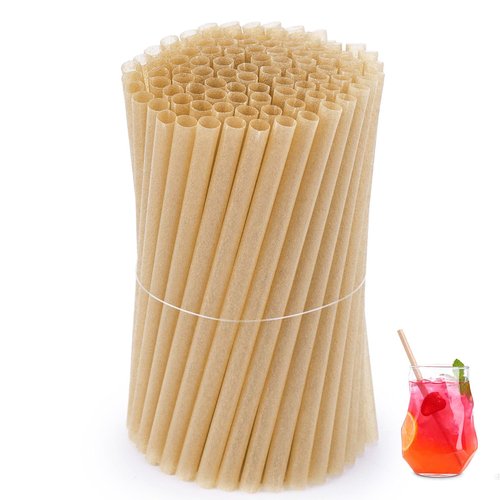 HANSGO Cocktail Straws, 5 Inch Short Sugarcane Straws Disposable Mini Cocktail Stirrers for Bar, 100PCS, Natural Brown