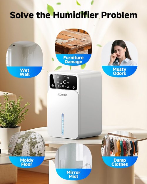 Dehumidifier - Regine Switzerland 60 OZ Capacity | Auto Shut-Off for Medium Rooms Up to 500 Sq.Ft, Quiet & Portable