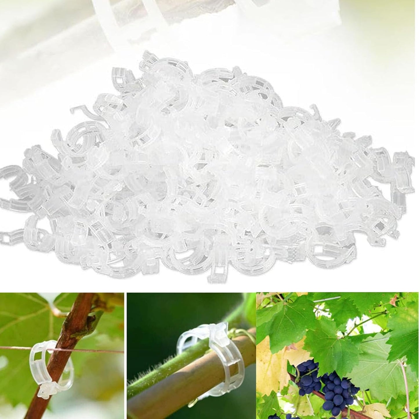 Skiennix Plant Support Clips - Clear Clips for Climbing Plants | 50 PCS for Tomatoes & Vines