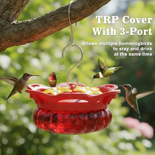 Fchstaer Glass Hummingbird Feeders - Set of 2 with Bee Guard Ports | 3.4oz Red Outdoor Decor