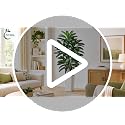 Artificial Dracaena Tree 6FT with Black Planter - Indoor Faux Plant, Realistic Tall Decorative Tree Variation of Green-Black Pot