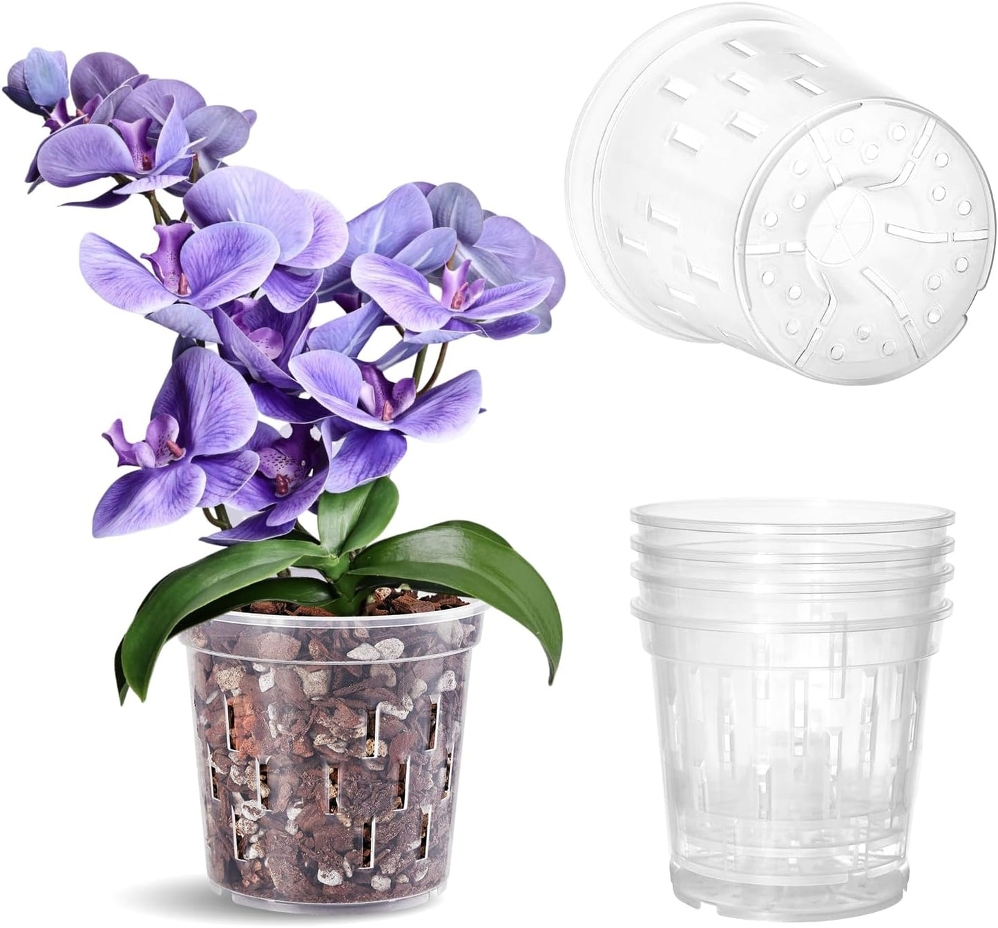 TRUEDAYS Orchid Pots - 5 Inch Clear Pots with Drainage Holes | 4 Pack for Healthy Root Growth